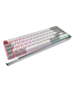 RAIJINTEK TASTIERA GAMING MGA-68 SILVER ALLUMINIO ARGB... 2